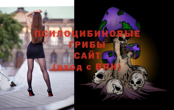 первитин Алексеевка