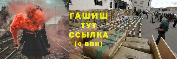хмурый Алзамай