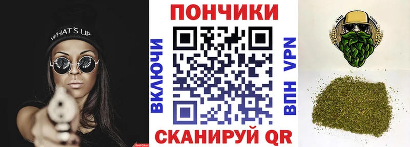 закладки Самара Каннабис сатива